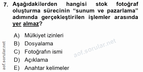 Soru 7