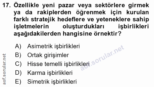 Soru 17