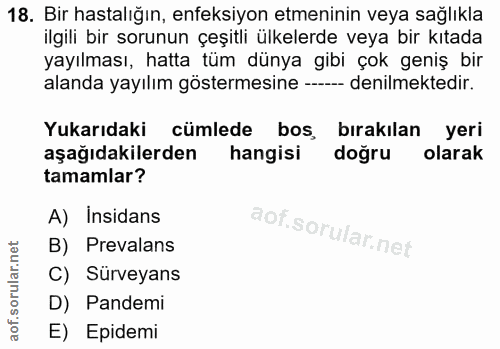 Soru 18
