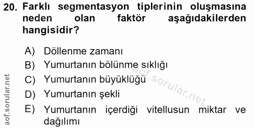 Soru 20