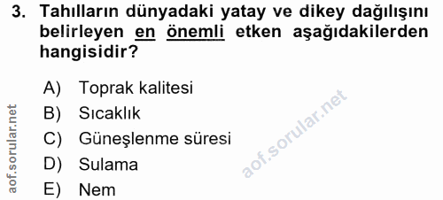 Soru 3