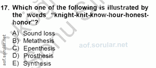 Soru 17