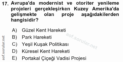 Soru 17