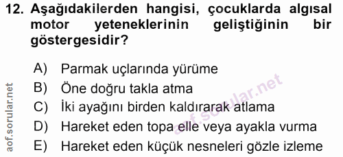 Soru 12