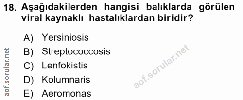 Soru 18