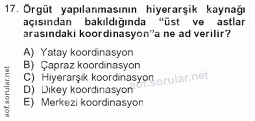 Soru 17