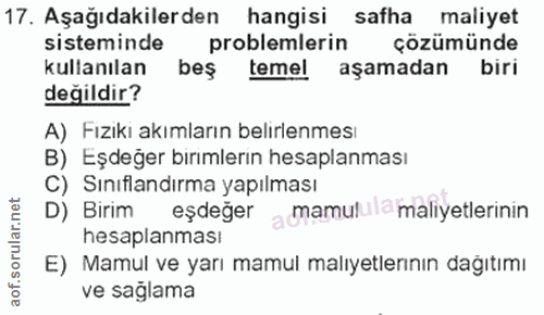 Soru 17