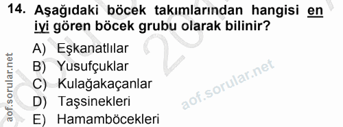 Soru 14
