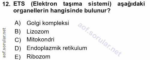 Soru 12