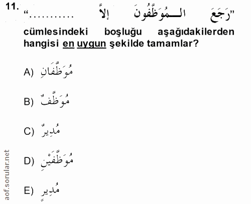 Soru 11