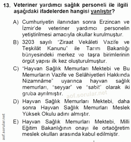 Soru 13