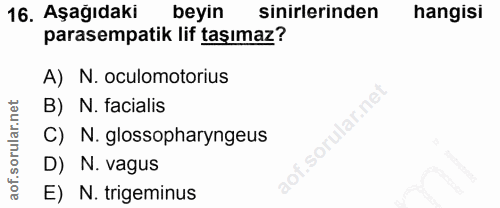 Soru 16
