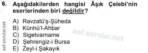 Soru 6