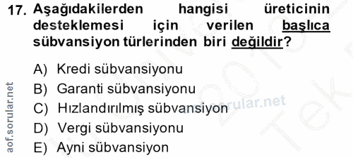 Soru 17