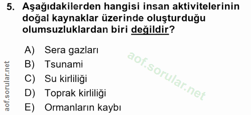 Soru 5