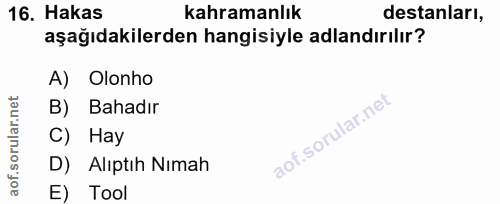 Soru 16