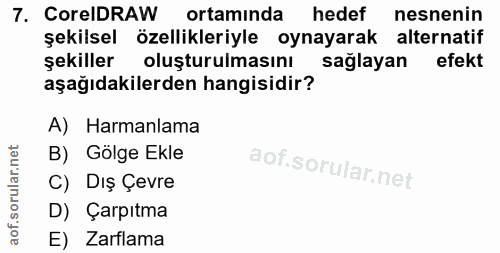 Soru 7