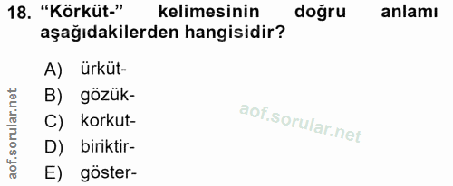 Soru 18