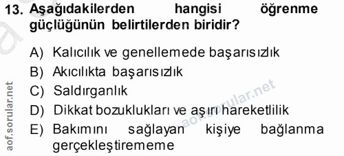 Soru 13