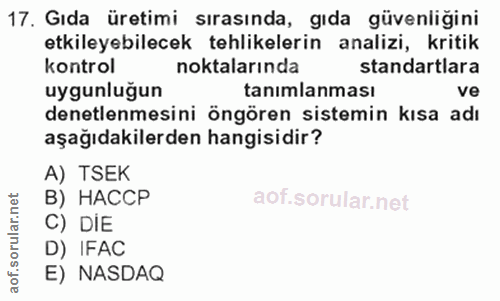 Soru 17