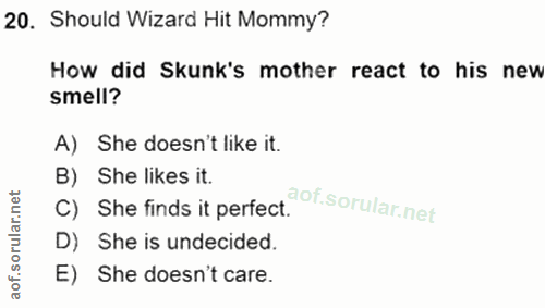 Soru 20