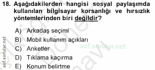 Soru 18