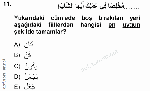Soru 11