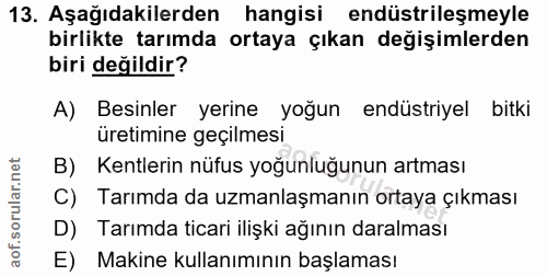 Soru 13