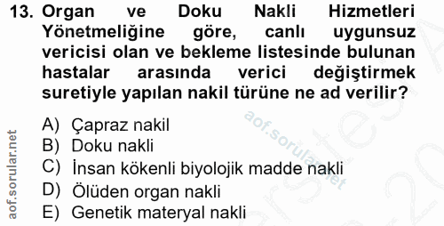 Soru 13