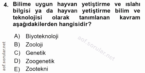 Soru 4