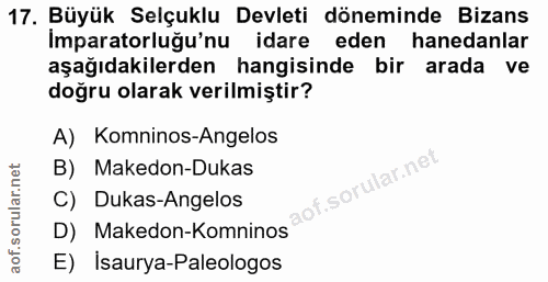 Soru 17