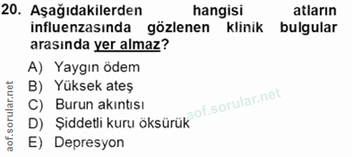 Soru 20