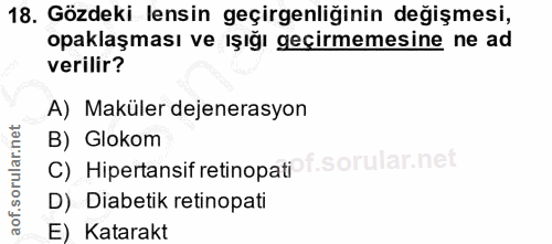 Soru 18