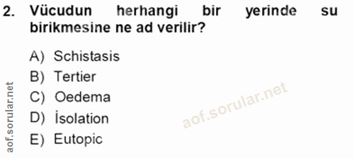 Soru 2