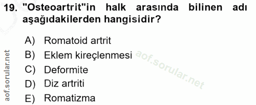 Soru 19