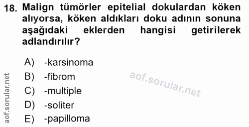 Soru 18
