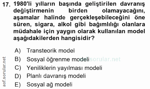 Soru 17