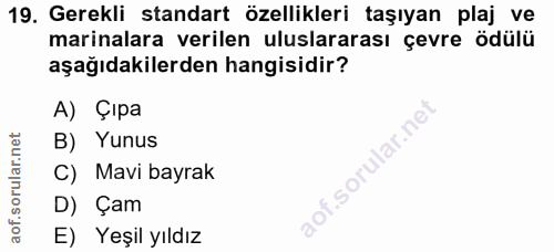 Soru 19