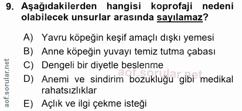 Soru 9