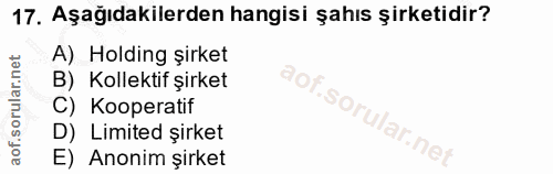 Soru 17