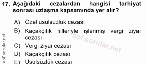 Soru 17