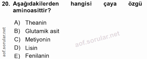 Soru 20