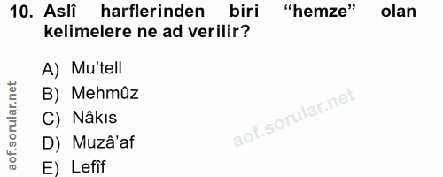 Soru 10