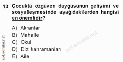 Soru 13