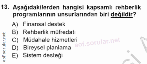 Soru 13