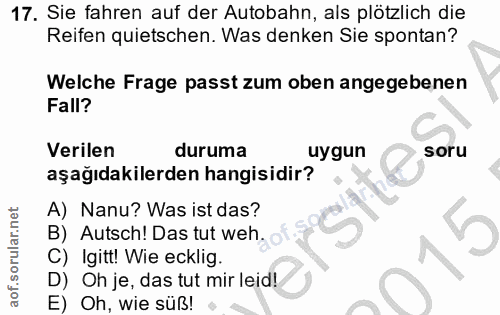 Soru 17