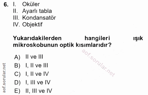 Soru 6
