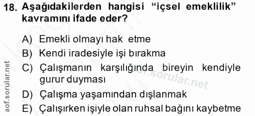 Soru 18