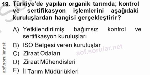 Soru 19