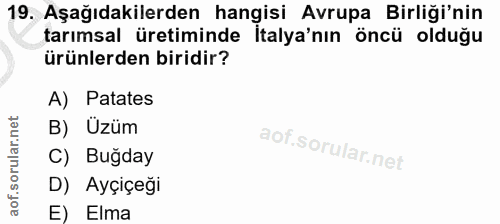 Soru 19